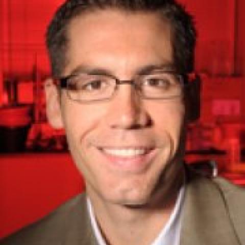 Craig Forest Craig Forest